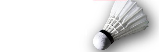 Tokai kogyo Badminton Team
